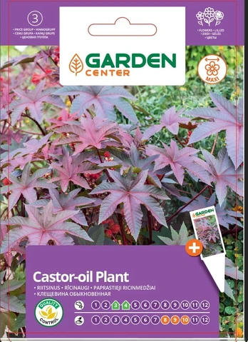Sėklos Garden Center ricinmedis, 5 vnt.