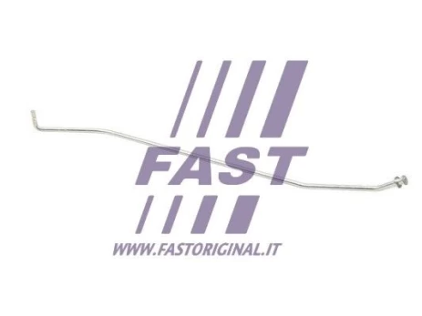 Variklio dangčio fiksatorius FAST FT95902