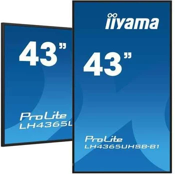 Monitorius Iiyama 43