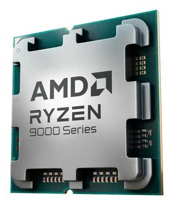 Ryzen 9 9900X 100-000000662 dėžutė