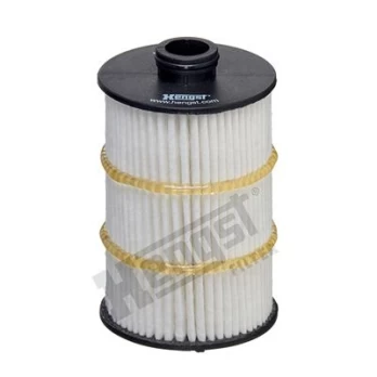 Alyvos filtras HENGST FILTER E861H D413