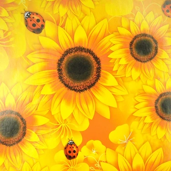 Dovanų popierius su saulėgrąžomis, 490 x 690 cm