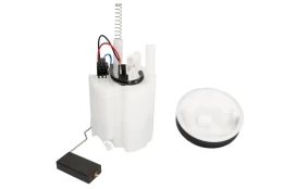 DELPHI FG1016-12B1 Electric fuel pump kaina