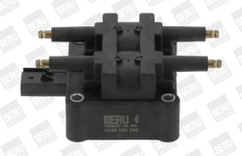 Ritė, uždegimas BorgWarner (BERU) ZS380