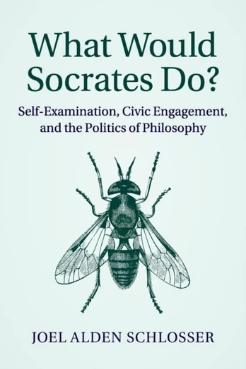 What Would Socrates Do?