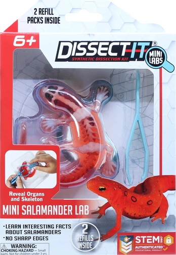 Sensory Compunds Sensory Compounds Salamander In Giftbox