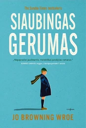 Siaubingas gerumas kaina