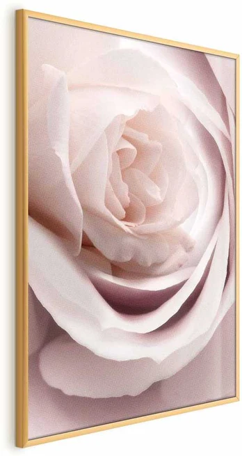 Artgeist Plakatas - Porcelain Rose