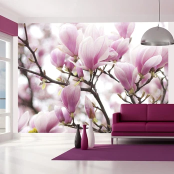 Artgeist Fototapetas - Magnolia bloosom