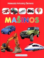 Pirmasis pypliukų žinynas. Mašinos kaina