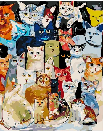 Omaart Cats