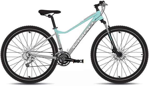 Dviratis Tabou Blade 29 2 W pilkas-mint-L (Dydis: L)