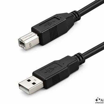 QOLTEC 50392 Qoltec kabelis USB 2.0 A tipo vyriškas USB B tipo vyriškas 5 m