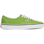 Vans Kedai Authentic VN000D7YFPB1 Žalia