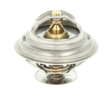 termostatas, aušinimo skystis THERMOTEC D2PE004TT