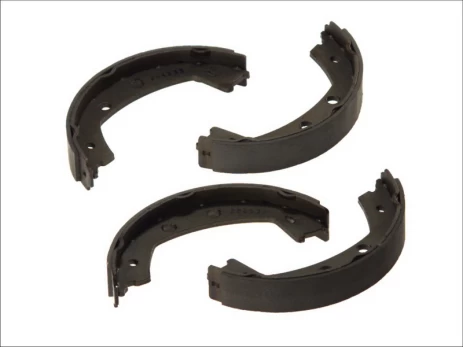 DELPHI LS2030 Brake shoe set