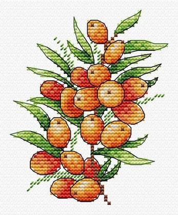 Sea buckthorn mood SM-591