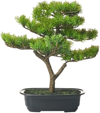 Beliani Dirbtinis augalas PINE 37 cm, žalias