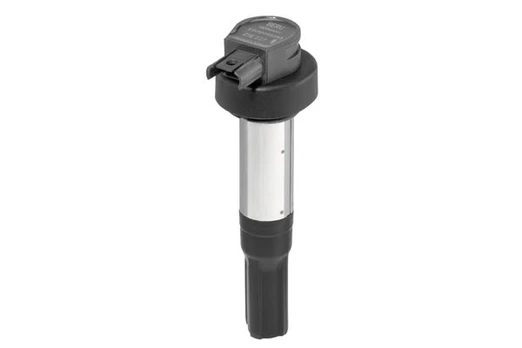 Ritė, uždegimas BorgWarner (BERU) ZSE227