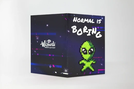 Normal is Boring WC0273