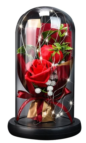 Amžina rožė kupole Red Rose