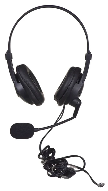 Headphones with microphone I-Box W1MV