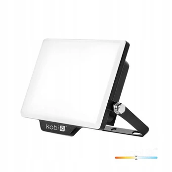 30W LED prožektorius DELYO MHN, juodas, 4000K, IP65