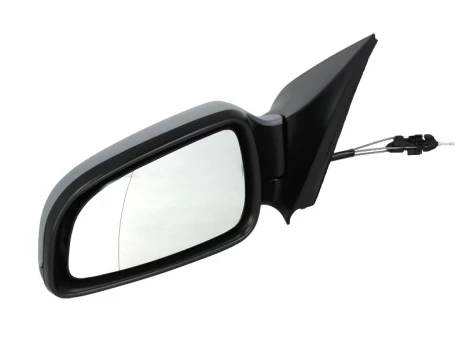 BLIC 5402-04-1137238P Wing mirror