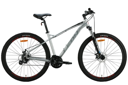 Dviratis kalnų Leon TN-90DD, 29 ", 18" rėmas, sidabro