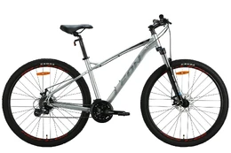 Dviratis kalnų Leon TN-90DD, 29 ", 18" rėmas, sidabro kaina