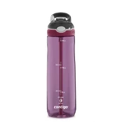 Gertuvė Ashland Passionfruit CON2191382, 720 ml kaina