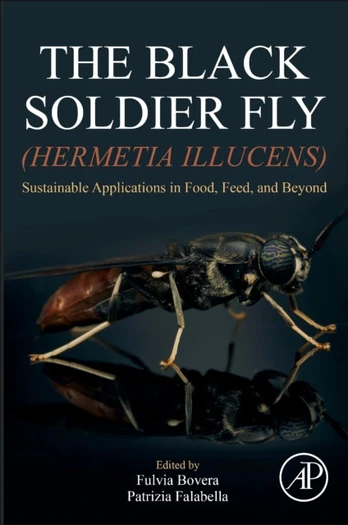 Black Soldier Fly (Hermetia illucens)