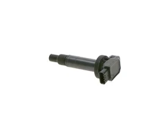 Ritė, uždegimas BOSCH 0986AG0502