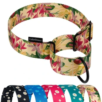 „CollarDirect Martingale“ šunų antkaklis 38–50 cm