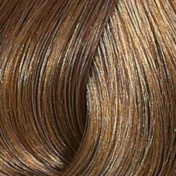 Wella Color Touch Plus plaukų dažai 60 ml