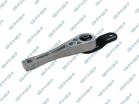 Variklio montavimas GSP 512222