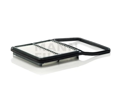 Oro filtras C29002