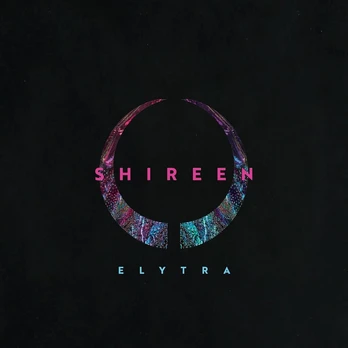 Elytra