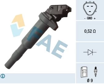 Ritė, uždegimas FAE 80281