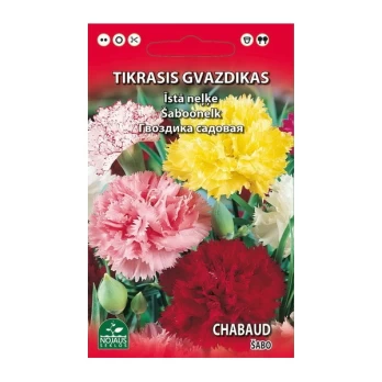 GVAZDIKAS TIKRASIS ŠABO