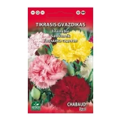 GVAZDIKAS TIKRASIS ŠABO kaina