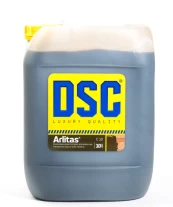 10L ARLITAS DSC C10 RUDAS kaina
