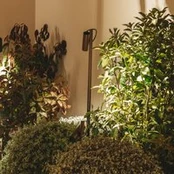 LEDS-C4 LED antžeminis prožektorius Juncus 1, rudos spalvos, 2 700 K