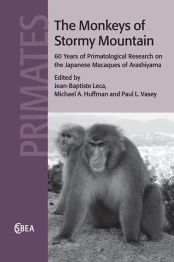 Monkeys of Stormy Mountain