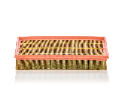 Oro filtras C33189