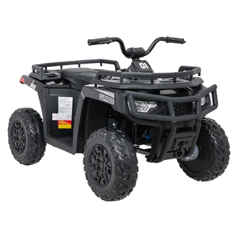 Elektrinis keturratis ATV WOLF, Black