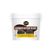 Lakas Master Team Lacquer Outside, 3 l kaina
