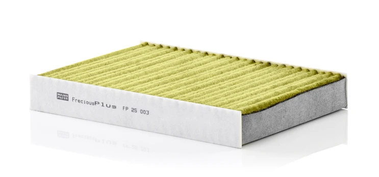 Salono filtras MANN-FILTER FP 25 003