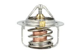 Termostatas, aušinimo skystis NRF 725385