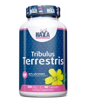 Haya Labs Tribulus Terrestris 90 kaps. kaina
